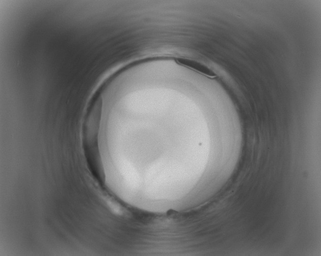 X0000081301230200702082036