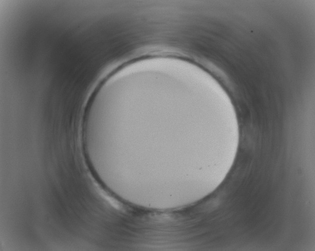 X0000081301231200702082036