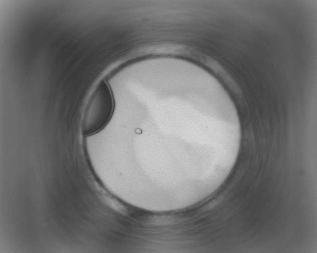 X0000081301232200702082036