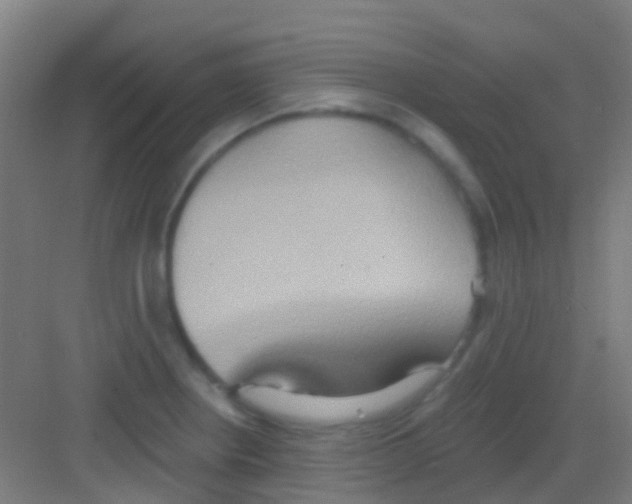 X0000081301234200702082036