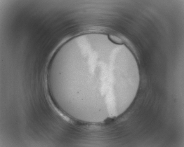 X0000081301235200702082036