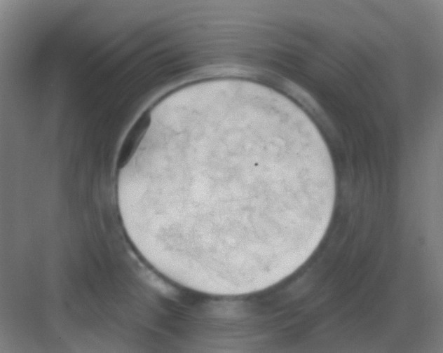 X0000081301236200702082036