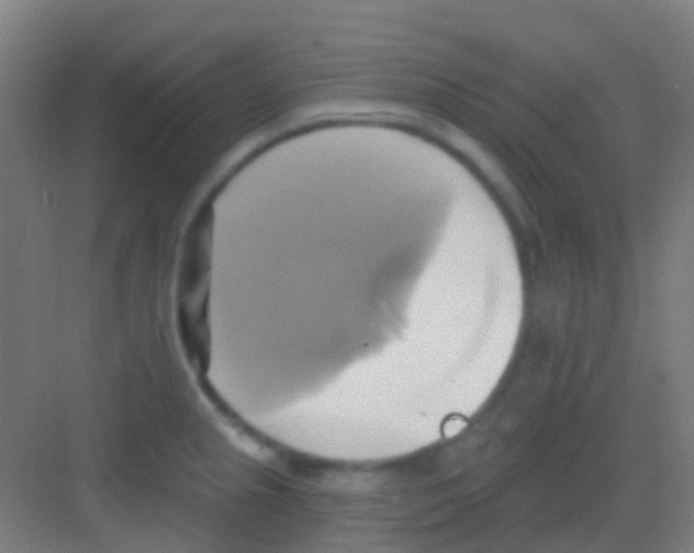 X0000081301237200702082036