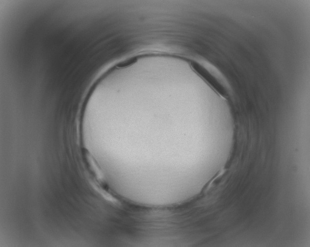 X0000081301238200702082036