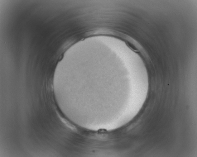 X0000081301241200702082036