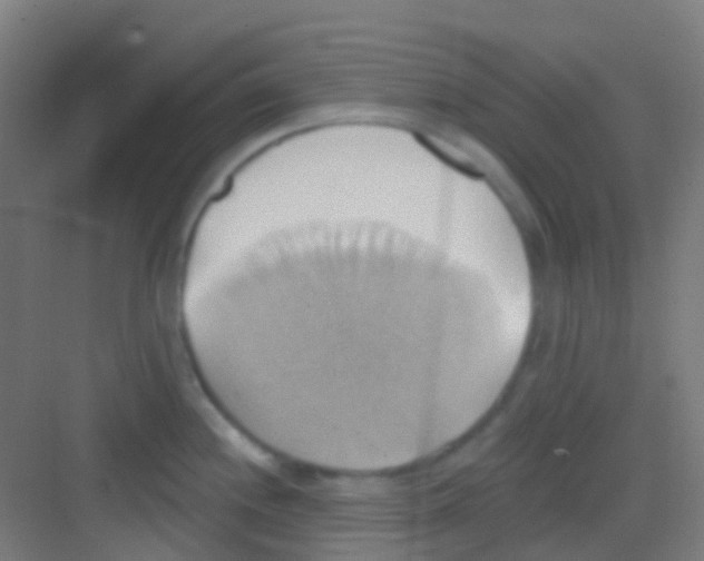 X0000081301244200702082036