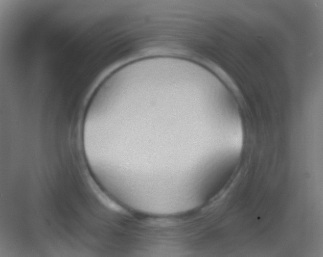 X0000081301246200702082036