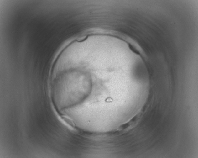 X0000081301247200702082036