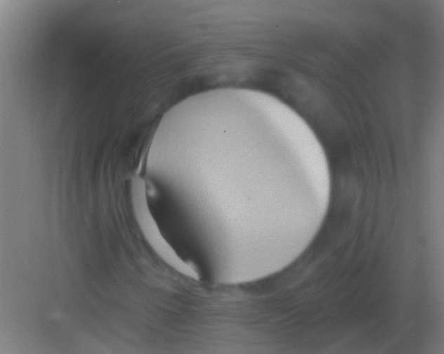 X0000081301250200702082035