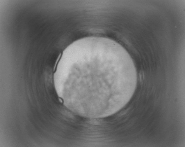 X0000081301251200702082035