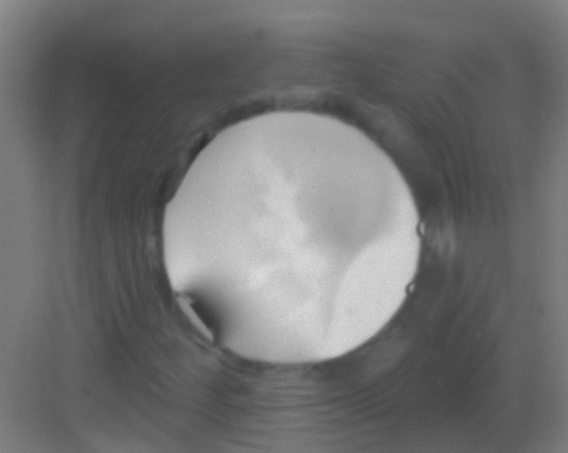 X0000081301252200702082035