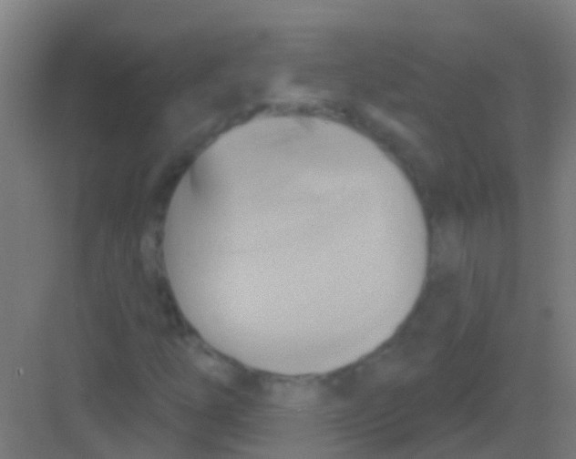 X0000081301254200702082035