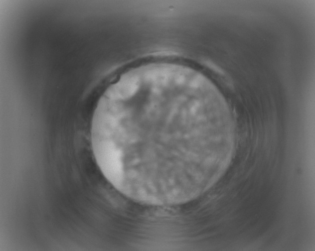 X0000081301255200702082035