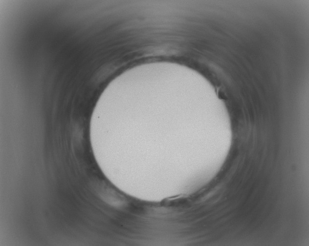 X0000081301257200702082035