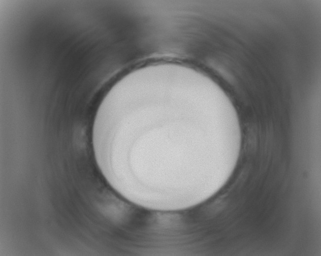 X0000081301258200702082035