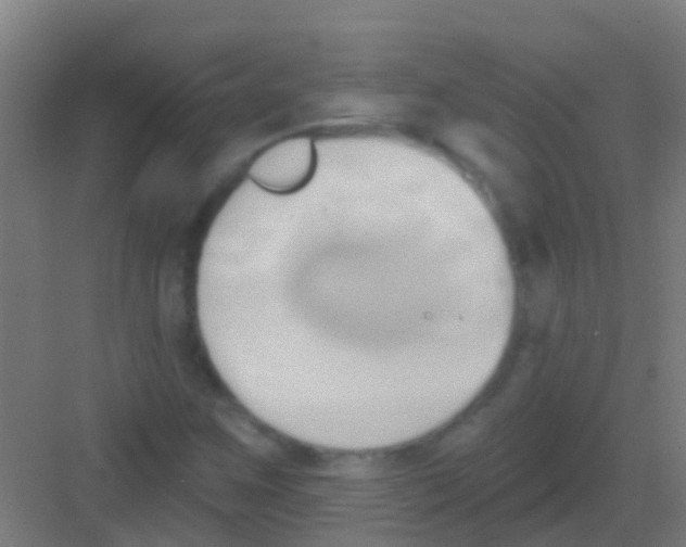 X0000081301259200702082035