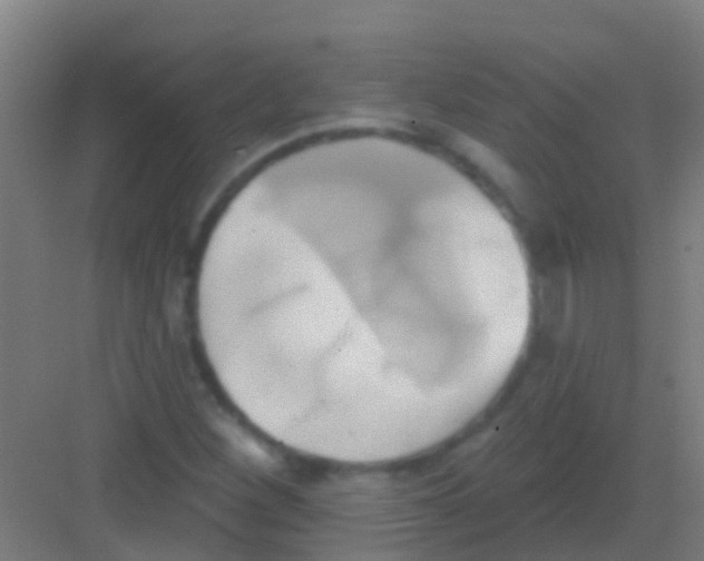 X0000081301260200702082035