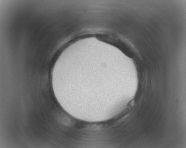 X0000081301261200702082035