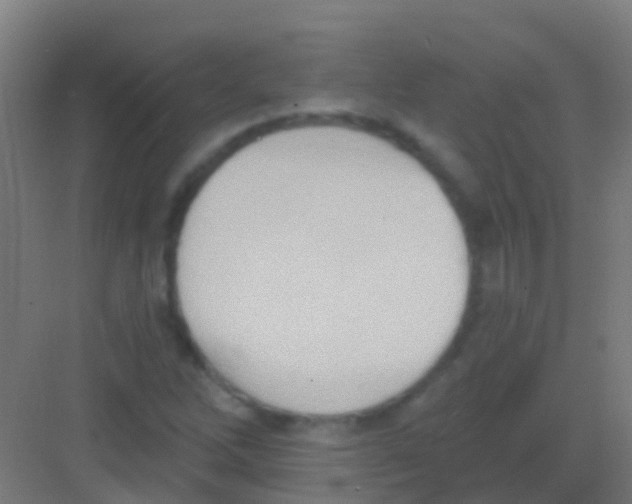 X0000081301262200702082035