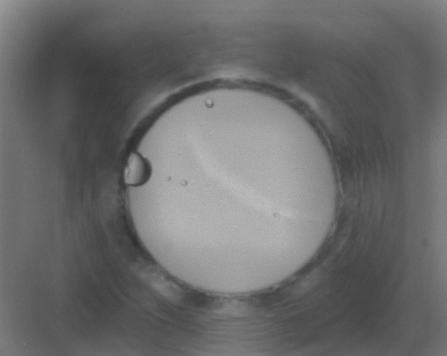 X0000081301263200702082035