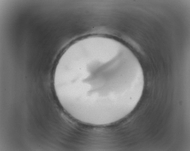 X0000081301264200702082035