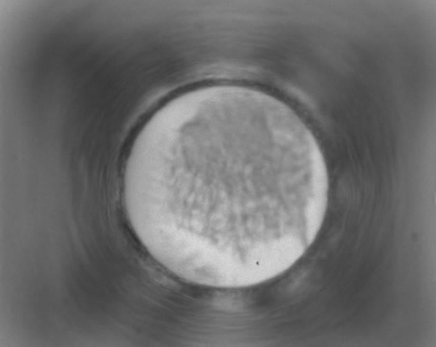 X0000081301267200702082035