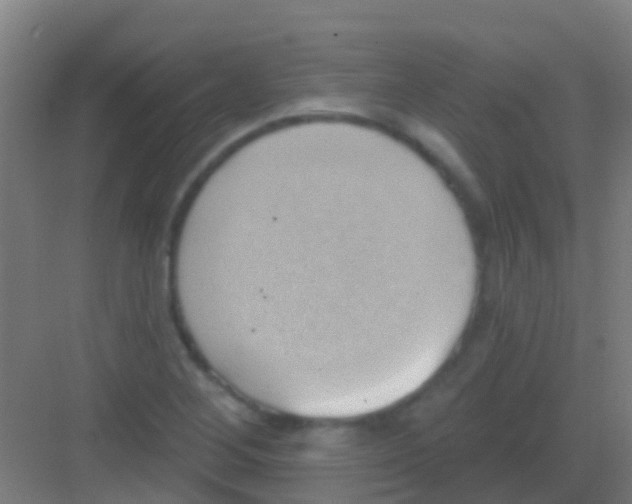 X0000081301268200702082035