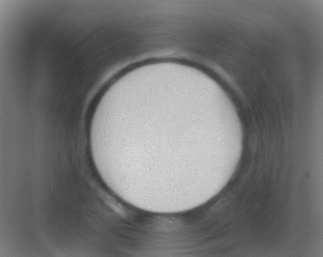 X0000081301270200702082035