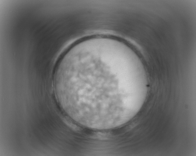 X0000081301271200702082035