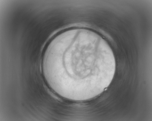 X0000081301272200702082035