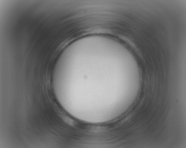 X0000081301273200702082035