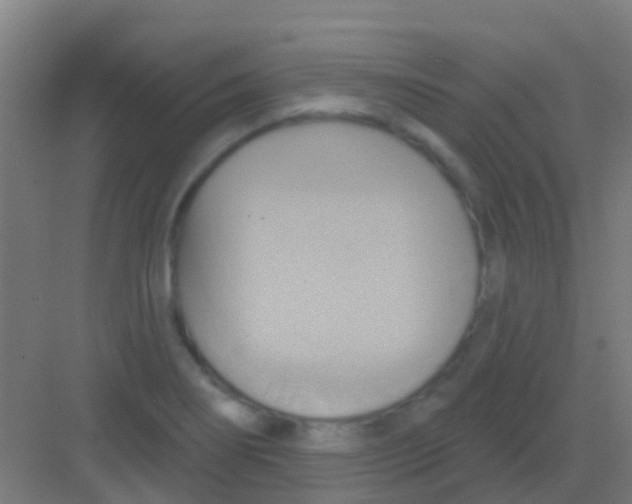 X0000081301274200702082035