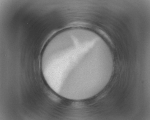 X0000081301275200702082035