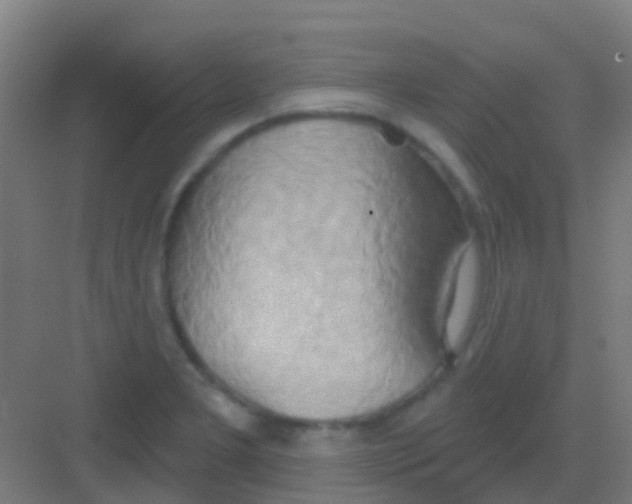 X0000081301277200702082035