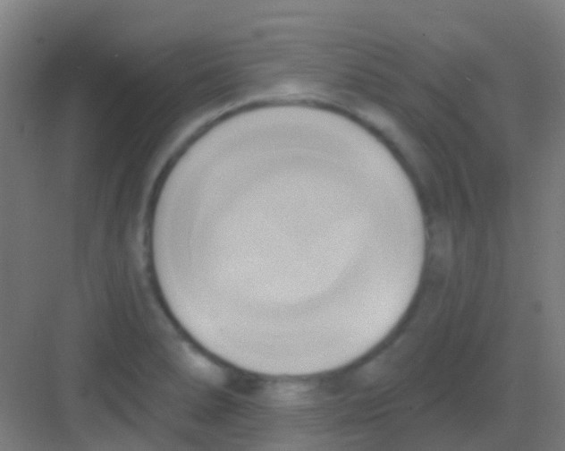 X0000081301278200702082035