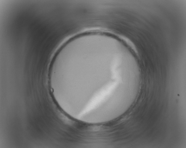 X0000081301279200702082035