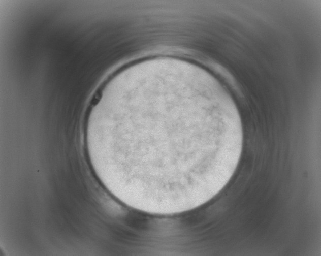 X0000081301280200702082035