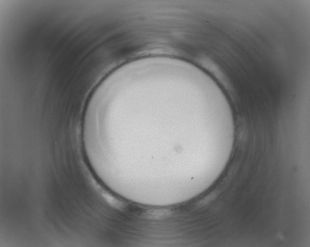 X0000081301282200702082035