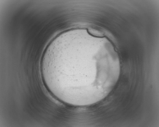 X0000081301283200702082035