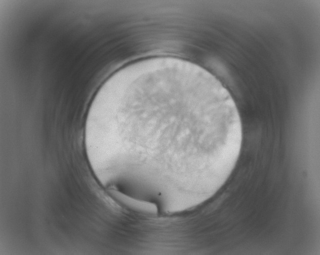 X0000081301284200702082035