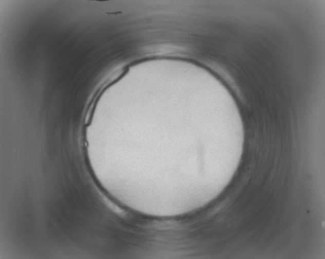 X0000081301285200702082035