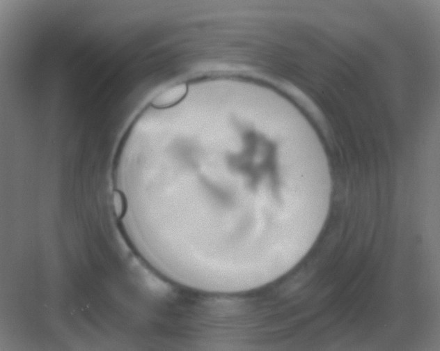 X0000081301287200702082035