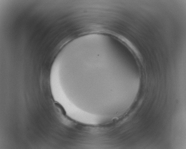 X0000081301289200702082035