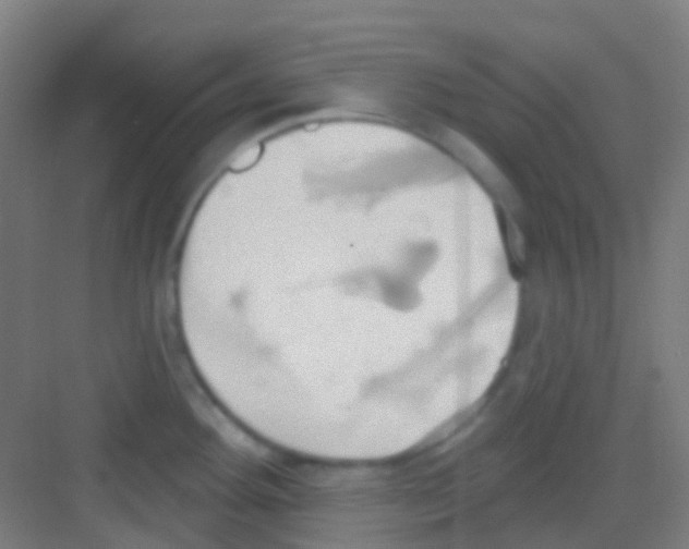 X0000081301292200702082035