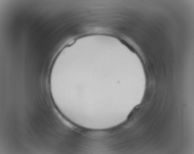 X0000081301293200702082035