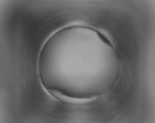 X0000081301295200702082035