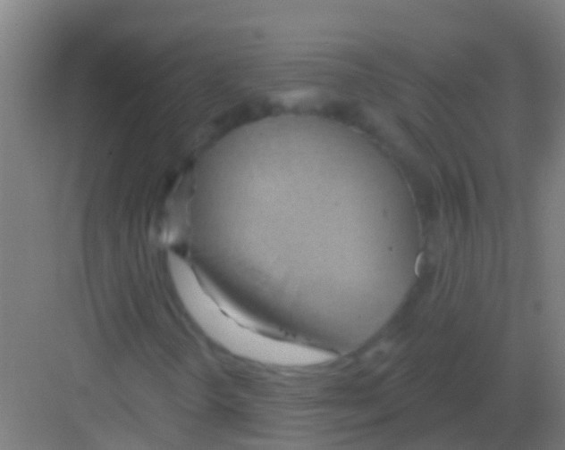 X0000081301298200702082034