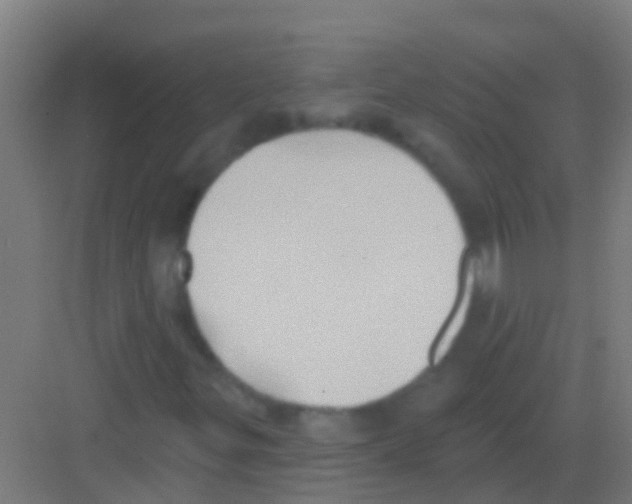 X0000081301299200702082034