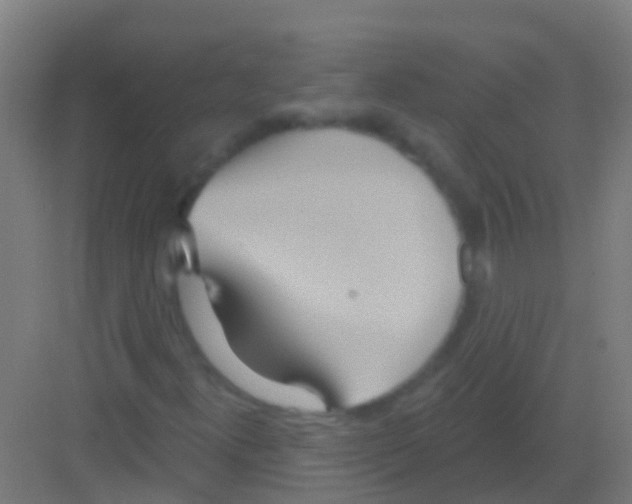 X0000081301300200702082034