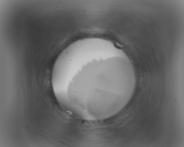 X0000081301301200702082034